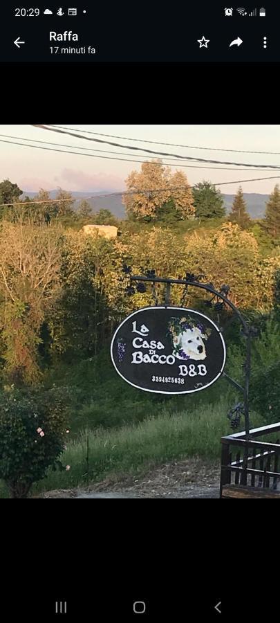 La Casa Di Bacco B&B Lerma Bagian luar foto