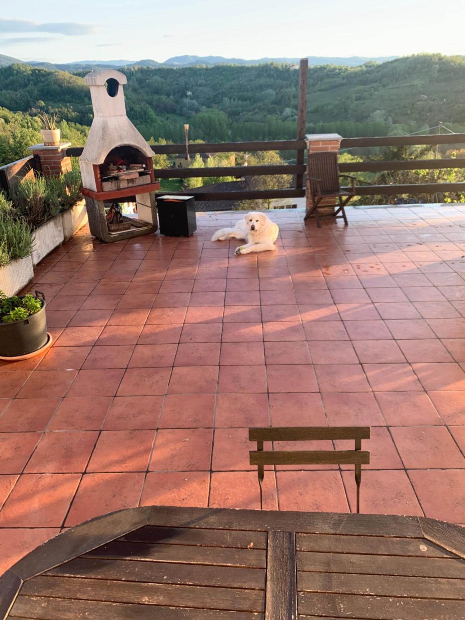 La Casa Di Bacco B&B Lerma Bagian luar foto